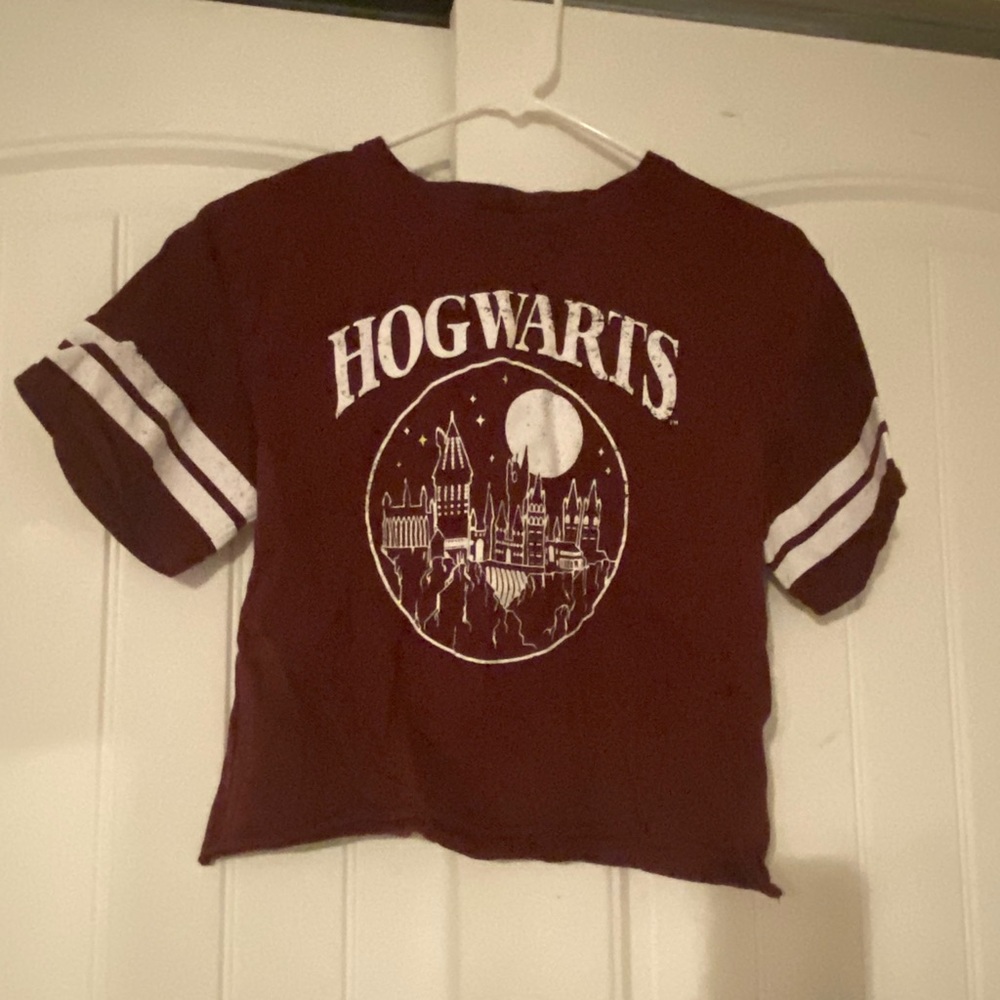 Harry Potter Hogwarts crop top